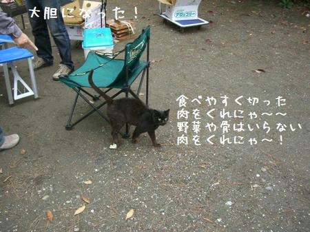 CIMG6604.JPG