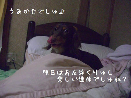 CIMG6650.JPG
