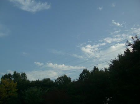 CIMG6721.JPG
