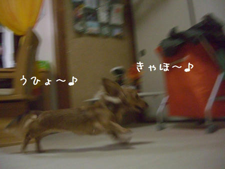 CIMG6773.JPG