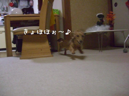 CIMG6774.JPG