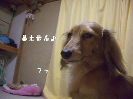 CIMG6778.JPG