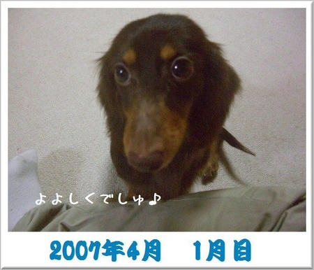200704.JPG