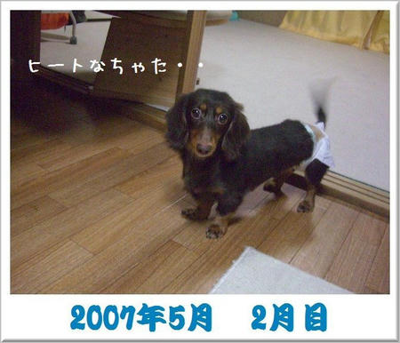 200705.JPG