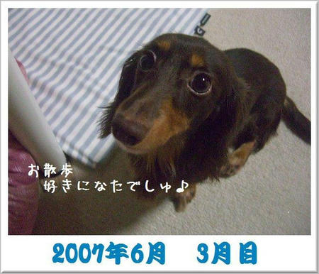 200706.JPG