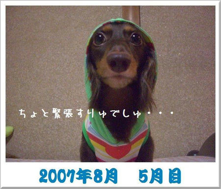200708.JPG