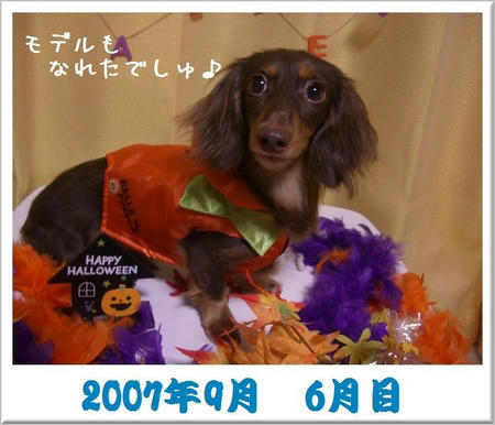200709.JPG