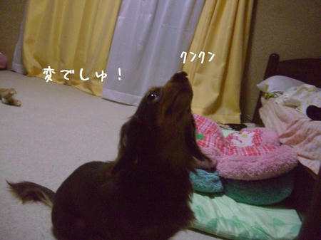 CIMG6823.JPG