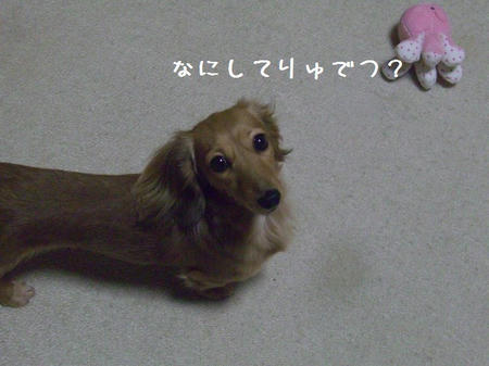 CIMG6840.JPG