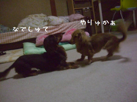 CIMG6877.JPG
