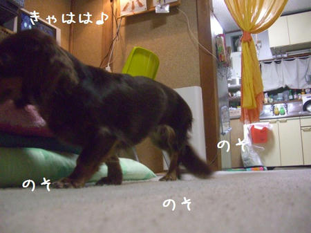 CIMG6879.JPG