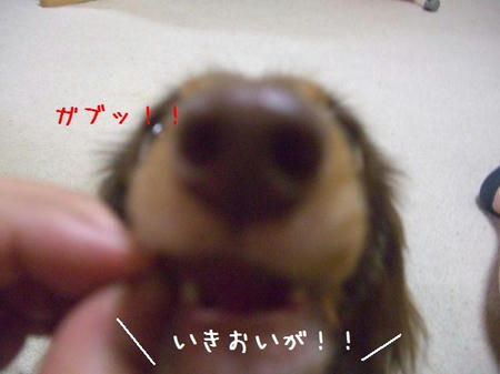 CIMG7029.JPG