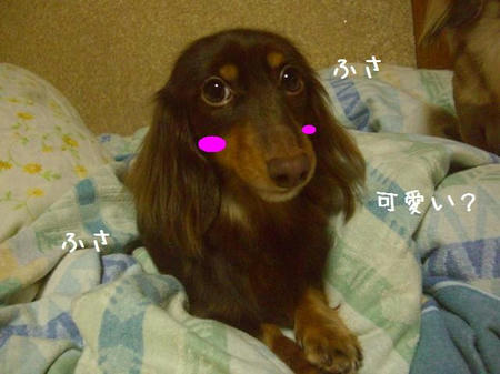CIMG7113.JPG