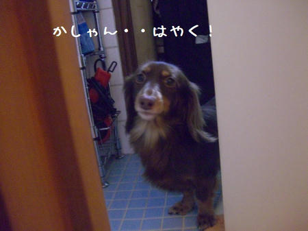 CIMG7197.JPG