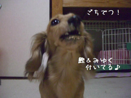 CIMG7242.JPG