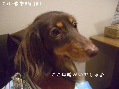 CIMG7445.JPG