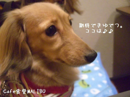 CIMG7446.JPG