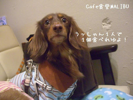 CIMG7449.JPG