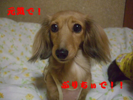 CIMG7582.JPG
