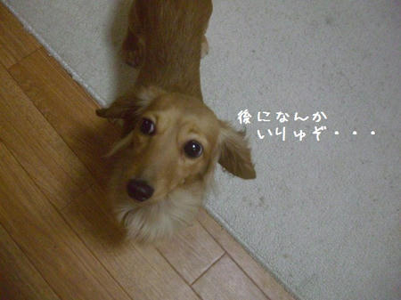 CIMG7784.JPG
