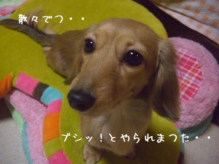 CIMG7948.JPG
