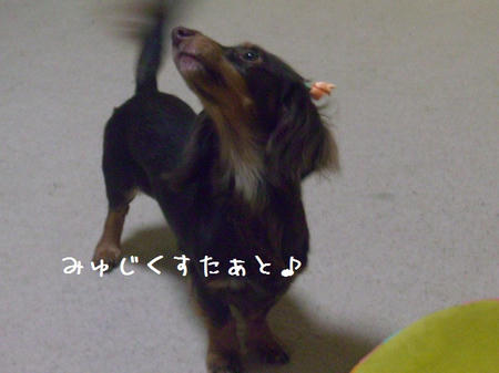 CIMG7987.JPG