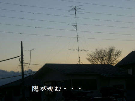 CIMG8134.JPG