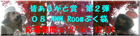 8909dff1.JPG
