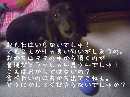 CIMG8217.JPG