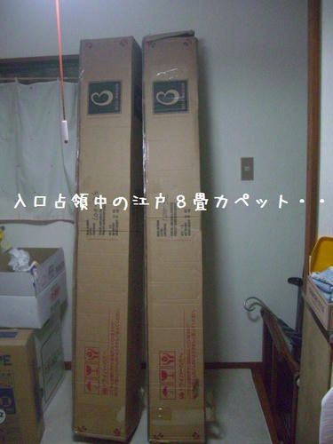 CIMG8454.JPG