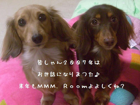 CIMG8456.JPG