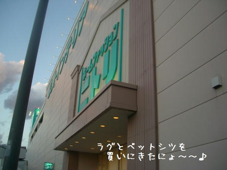 CIMG8498.JPG
