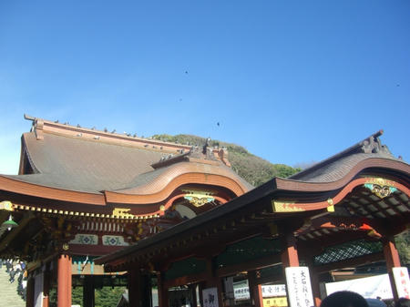 CIMG8594.JPG