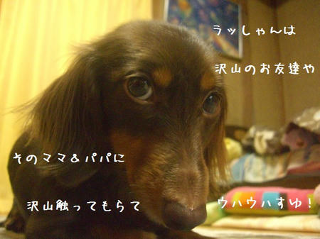 CIMG8621.JPG