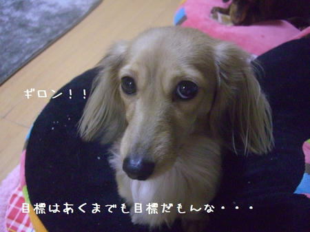 CIMG8630.JPG