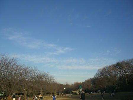 CIMG8707.JPG