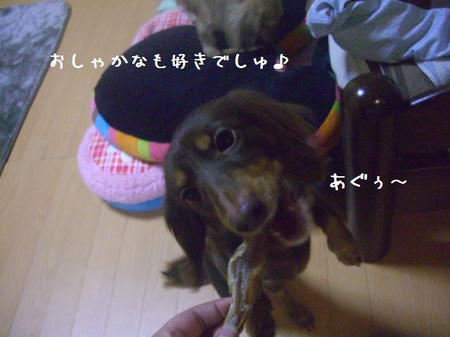 CIMG8719.JPG