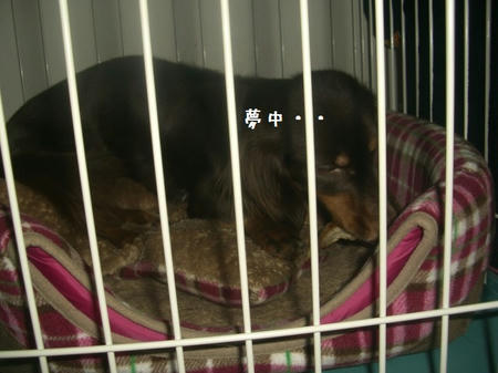 CIMG8721.JPG
