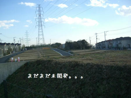 CIMG8758.JPG
