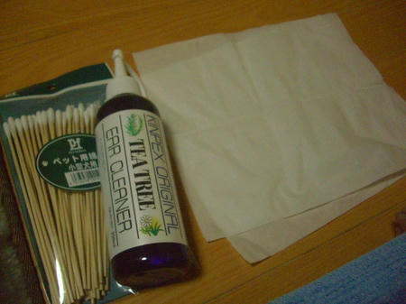 CIMG8855.JPG