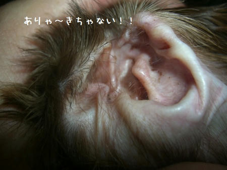 CIMG8857.JPG