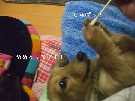 CIMG8861.JPG