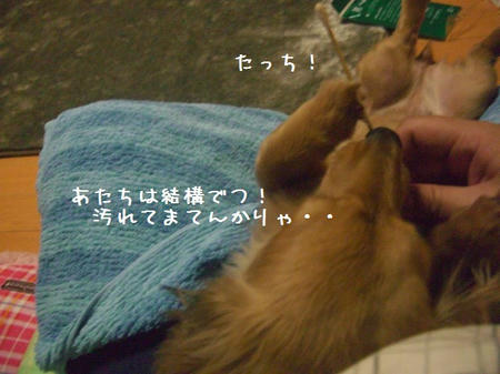 CIMG8862.JPG