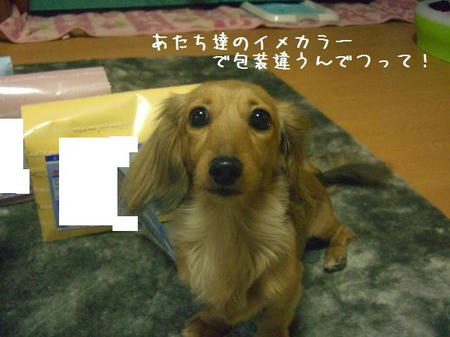 CIMG8878.JPG