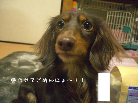 CIMG8879.JPG