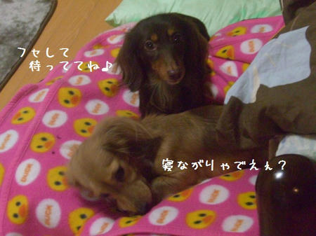 CIMG8880.JPG