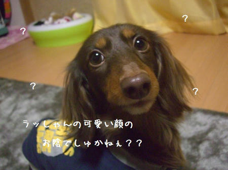 CIMG8909.JPG