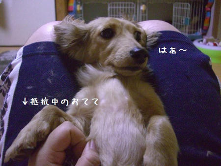 CIMG8969.JPG