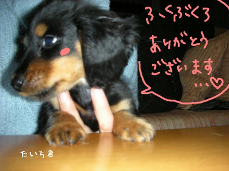 8904b03b.jpg
