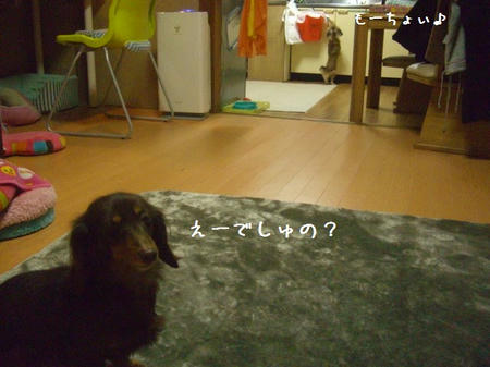 CIMG9167.JPG